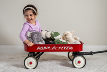 Load image into Gallery viewer, Again Friends Elephant