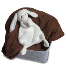 Load image into Gallery viewer, Silky Bunny Lovey