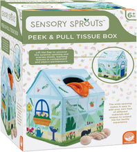 Load image into Gallery viewer, Sensory Sprouts: Peek & Pull Tissue Scarf