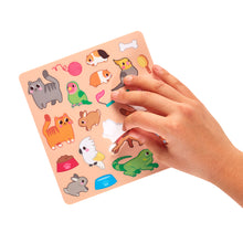 Load image into Gallery viewer, Play Again! Mini-on-the-go Activity Kit - Pet Play Land