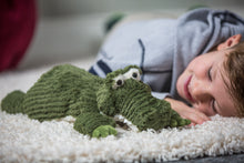 Load image into Gallery viewer, Cozy Toes Alligator