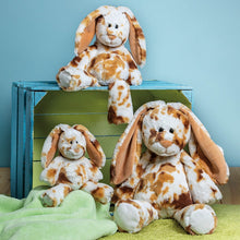 Load image into Gallery viewer, Marshmallow S'mores Bunny