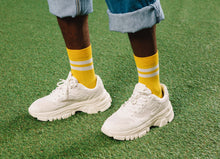 Load image into Gallery viewer, EMS Soft Gruyère