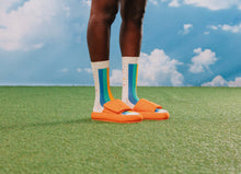 Load image into Gallery viewer, EMS Rainbow Cake