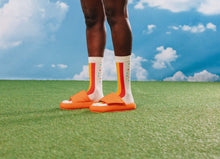 Load image into Gallery viewer, EMS Rainbow Cake