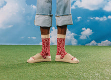 Load image into Gallery viewer, EMS Supreme Salami