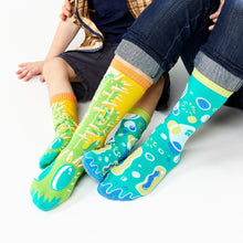 Load image into Gallery viewer, Pokey & Poppy Collectible Mismatched Socks - Opposocks Artist Series