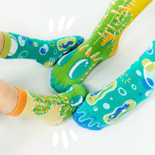 Load image into Gallery viewer, Pokey & Poppy Collectible Mismatched Socks - Opposocks Artist Series