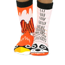 Load image into Gallery viewer, Raccoon & Cardinal Kids Collectible Mismatched Socks