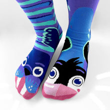 Load image into Gallery viewer, Penguin & Walrus Collectible Mismatched Socks