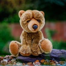 Load image into Gallery viewer, Animigos World Of Nature Grizzly Bear
