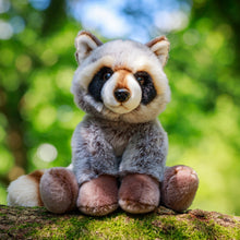 Load image into Gallery viewer, Animigos World Of Nature Raccoon
