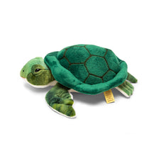 Load image into Gallery viewer, Animigos World Of Nature Turtle
