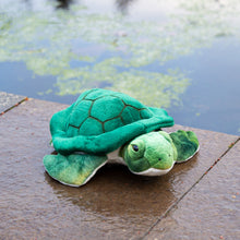 Load image into Gallery viewer, Animigos World Of Nature Turtle
