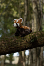 Load image into Gallery viewer, Animigos World Of Nature Red Panda
