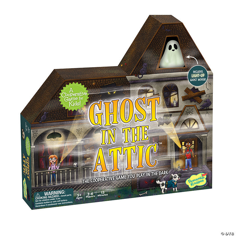 Ghost In The Attic