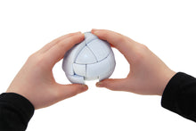 Load image into Gallery viewer, Meffert&#39;s Morph&#39;s Egg
