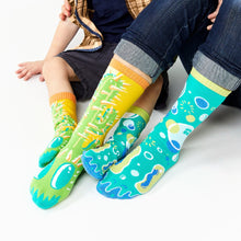 Load image into Gallery viewer, Pokey &amp; Poppy Collectible Mismatched Socks - Opposocks Artist Series
